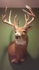 2013-12-06_09-27-00_820.jpg