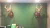 2013-12-06_11-59-02_99.jpg