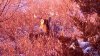 ForumRunner_20131226_192626.jpg