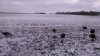 ForumRunner_20140414_070717.jpg