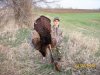 Landon's Turkeys 4-20-14 038.jpg