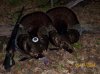 2014 4th Season Turkey Hunt 008.jpg