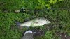 ForumRunner_20140612_103415.jpg