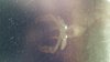 ForumRunner_20161026_194814.png