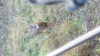 ForumRunner_20161105_201227.png