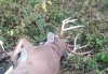 IMG_20161123_131529.jpg