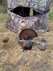 FB_IMG_1492192178453.jpg