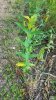 20170710_185123.jpg