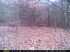 IMG_0133.JPG