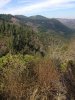 IMG_0150.JPG