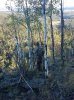 Syd Aspens.jpg