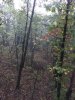 IMG_0450.JPG