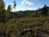 IMG_2370.jpg