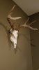 20171006_230211.jpg