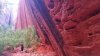 20170911_092316.jpg