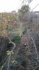 IMG_20171028_074021348-1024x1820.jpg