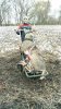 IMG_20171028_113710886-600x1067.jpg