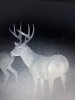 8-point2.jpg