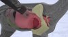 3D146AB4-0E45-4772-9C91-D28817CA40BD.jpeg