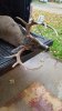 20171104_125337.jpg