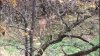 capture8small.JPG