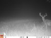 Trailcam-1.jpg