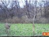 FD290344-4E8E-4A0F-BC34-30178212CF10.jpeg