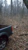 20171117_162706-459x816.jpg