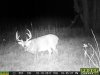 Bean Field Cam (Small).jpg
