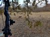 Decoy 1 (Small).jpg