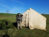 Camp 1 (Small).jpg