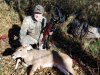 Doe 2 (Small).jpg