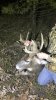 17 bbd 2.jpg
