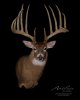 Kansas-King-Sheds-0038-Web.jpg