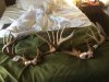 bed.jpg