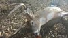 20171202_104150_resized.jpg