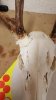 Resized_20171204_181456.jpeg