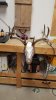 Resized_20171207_175217.jpeg