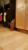 20171222_180729-459x816.jpg
