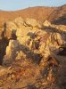 20180126_074942.jpg