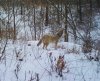 before yote.jpg