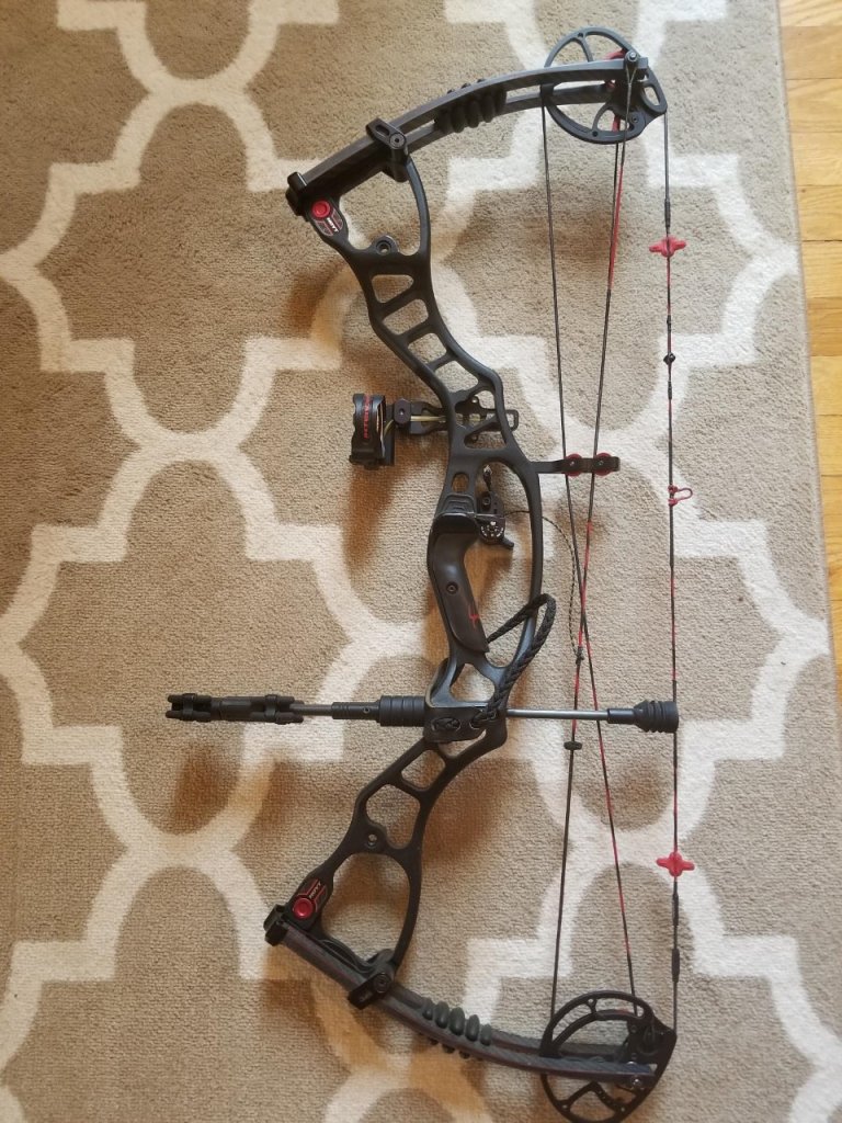 bow1.jpg