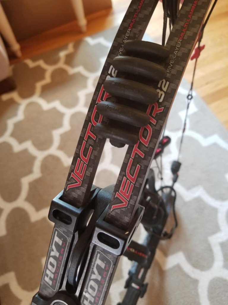 Bow2.jpg