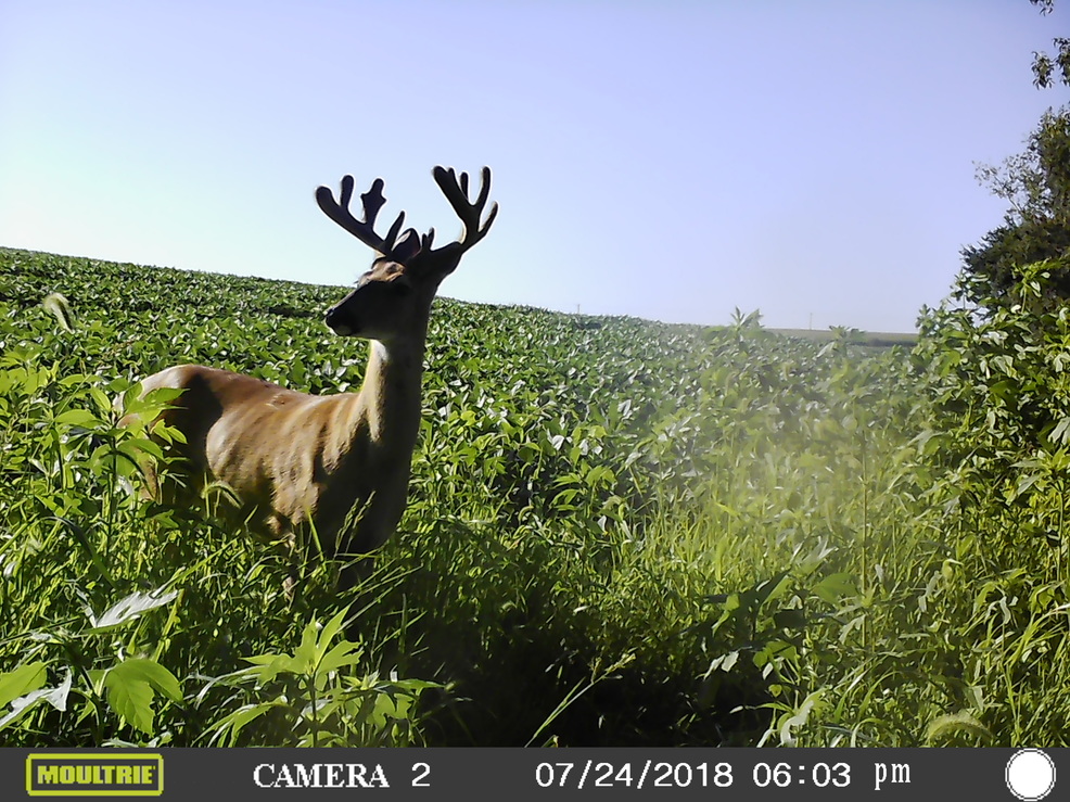 MFDC1078_35.jpg