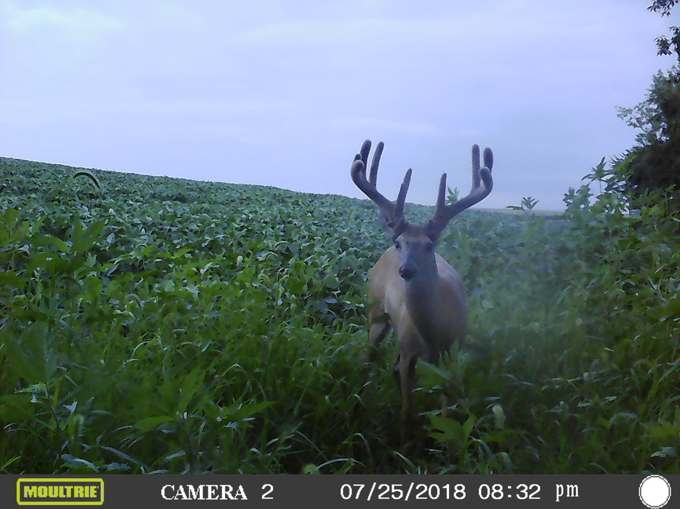 MFDC1127_35.jpg