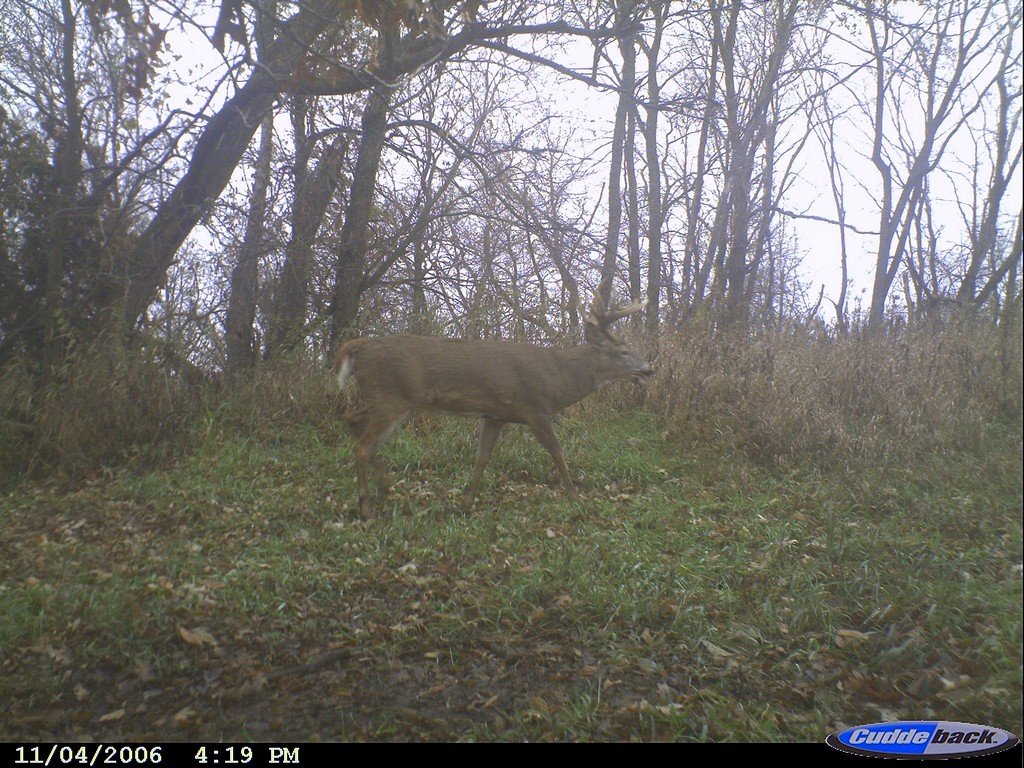 CDY_0060.JPG