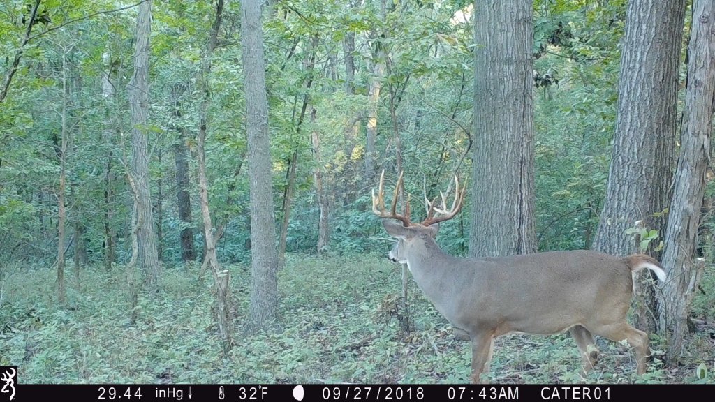 t cam.jpg