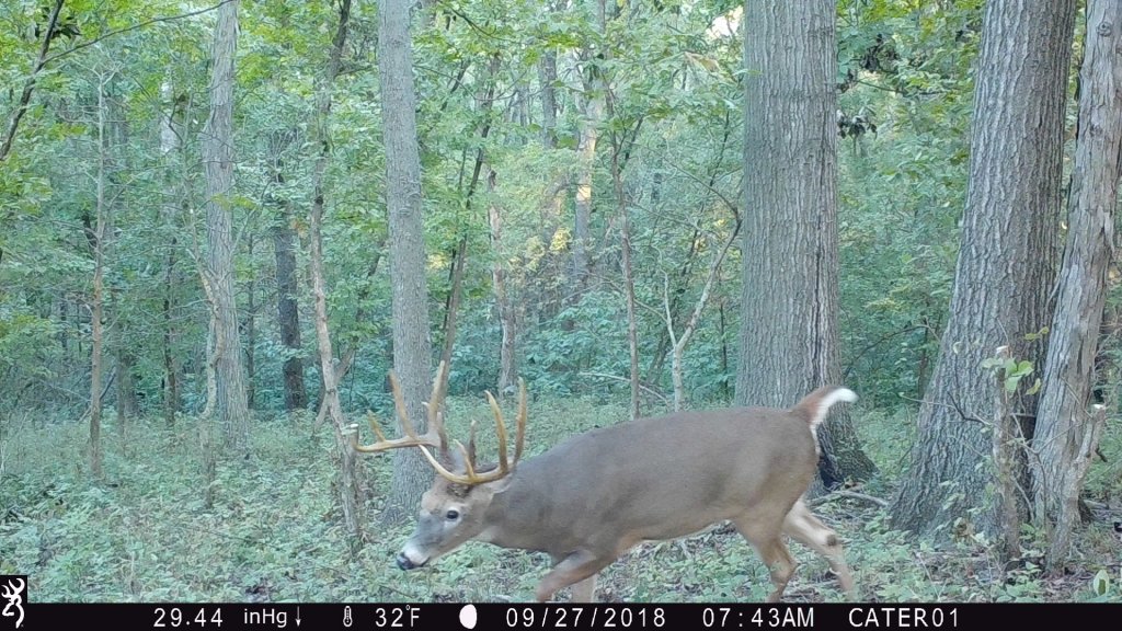 t cam 2.jpg