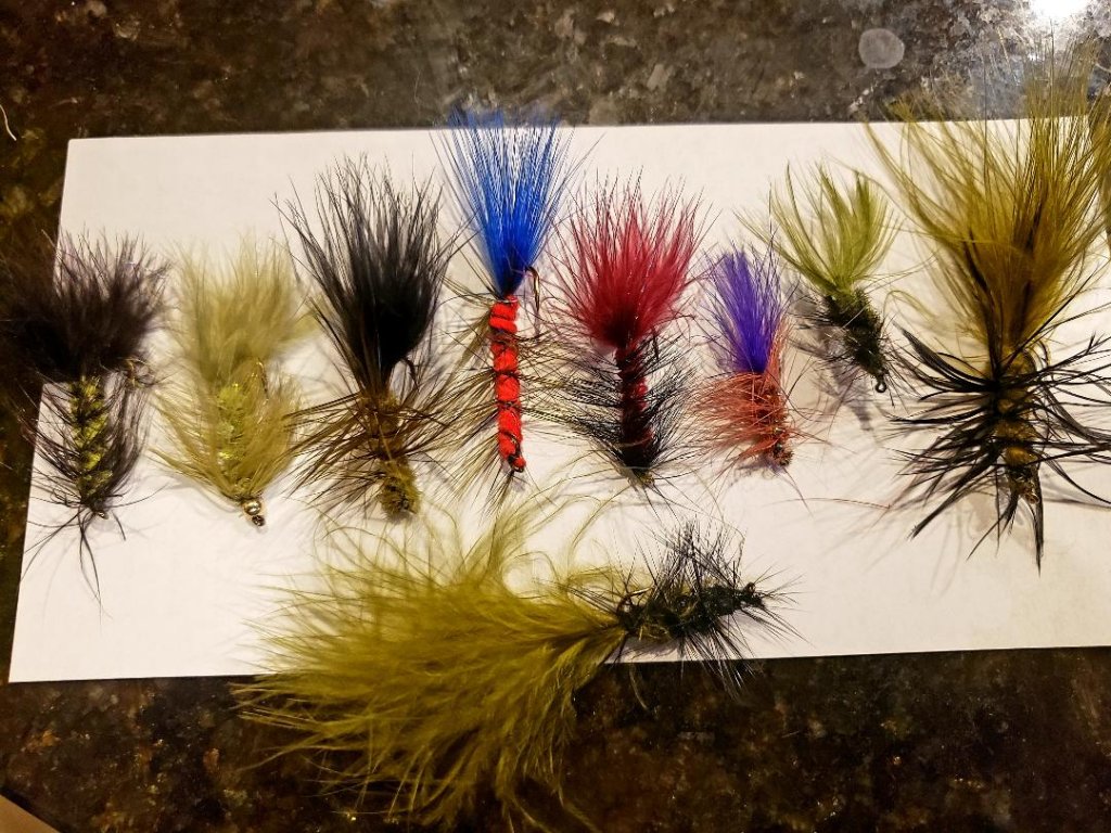 Wooly Buggers.jpg