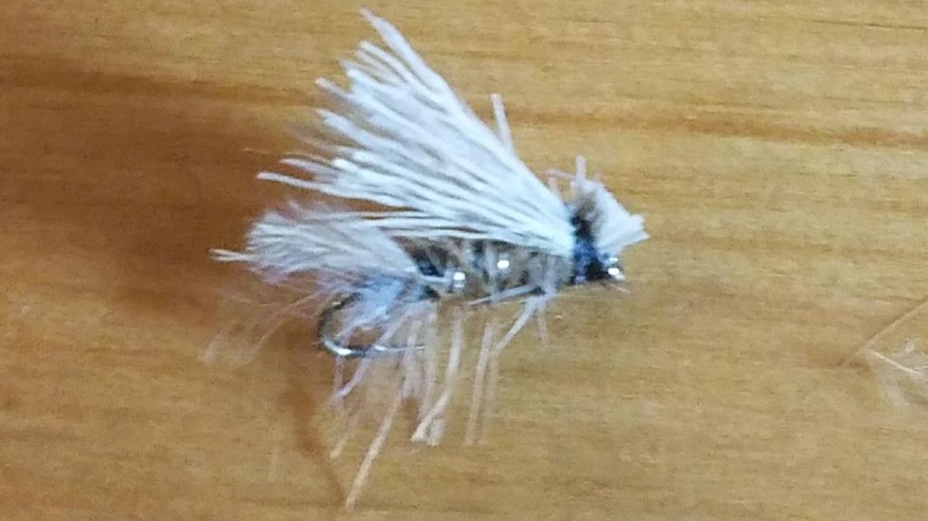 Elk Hair Caddis.jpg